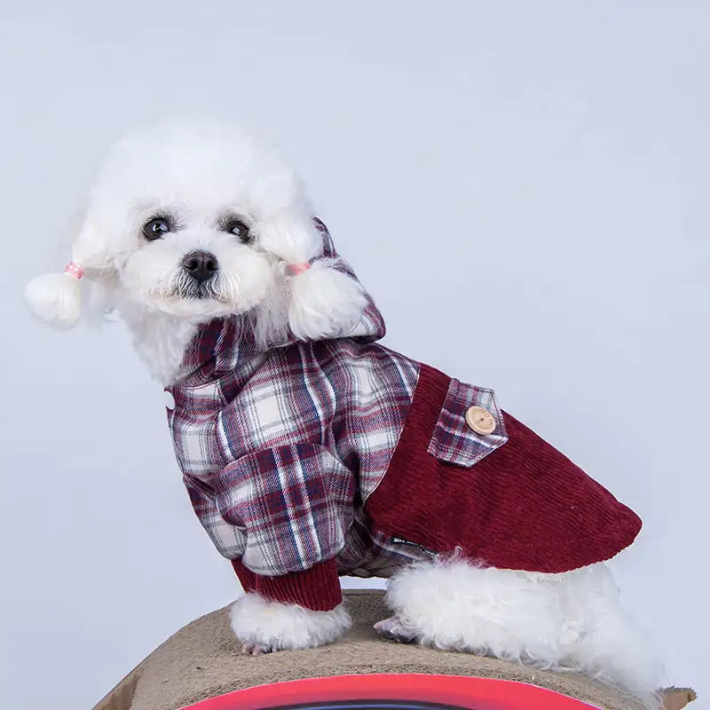 Teddy VIP Pomeranian Small Dog Cashmere Coat