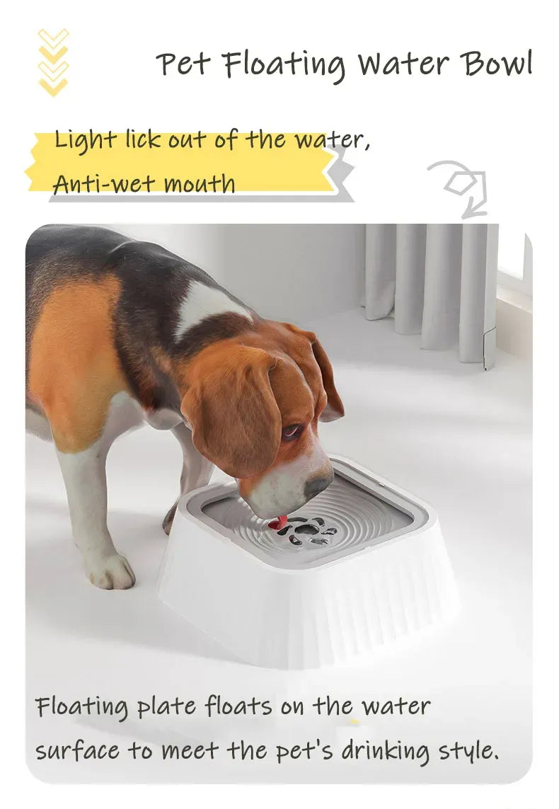 Hydrate Pet Water Bowl