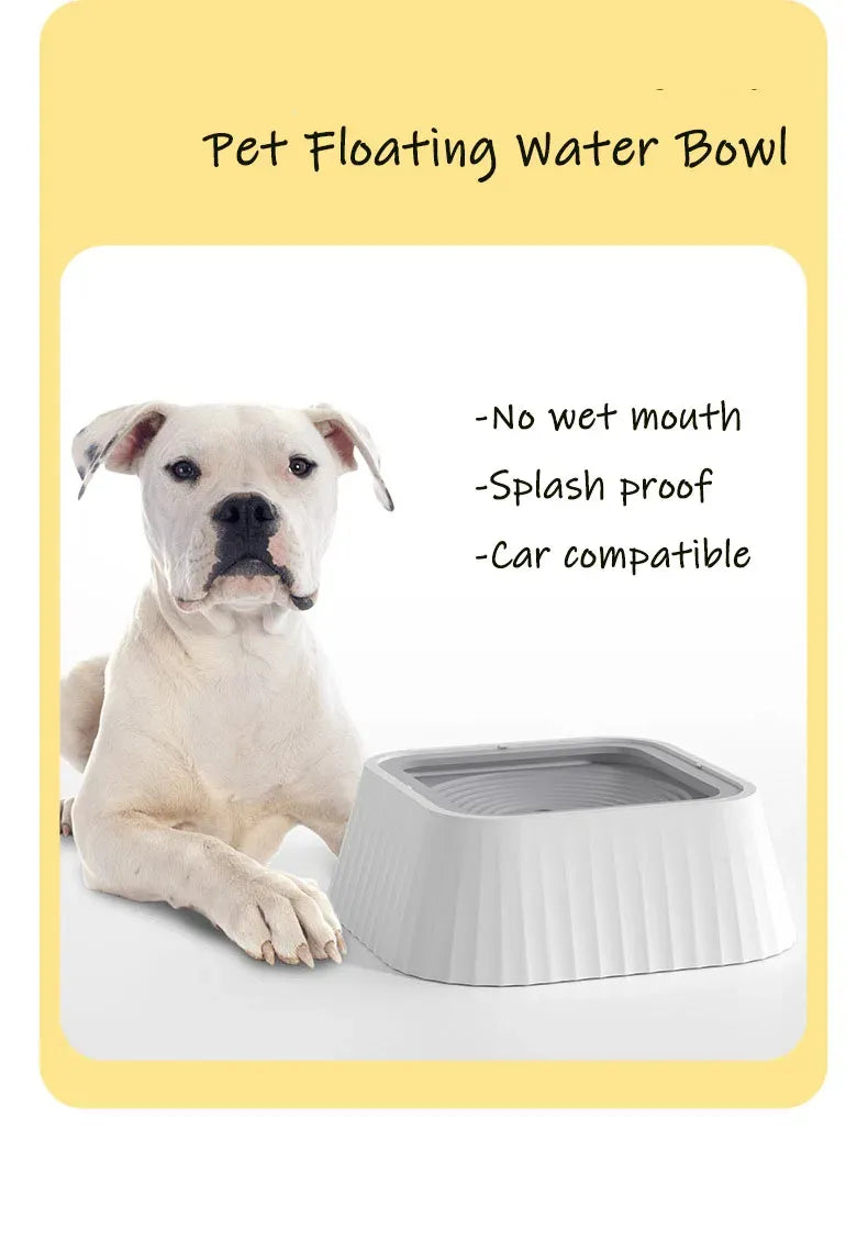 Hydrate Pet Water Bowl